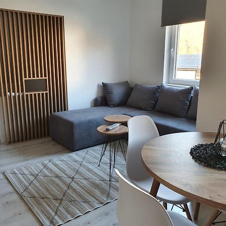 Vila Vrh Crni Vrh Номер фото