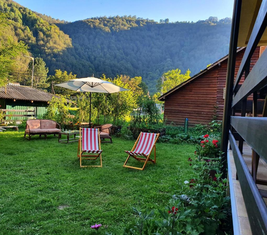 Vila Vrh Crni Vrh Екстер'єр фото