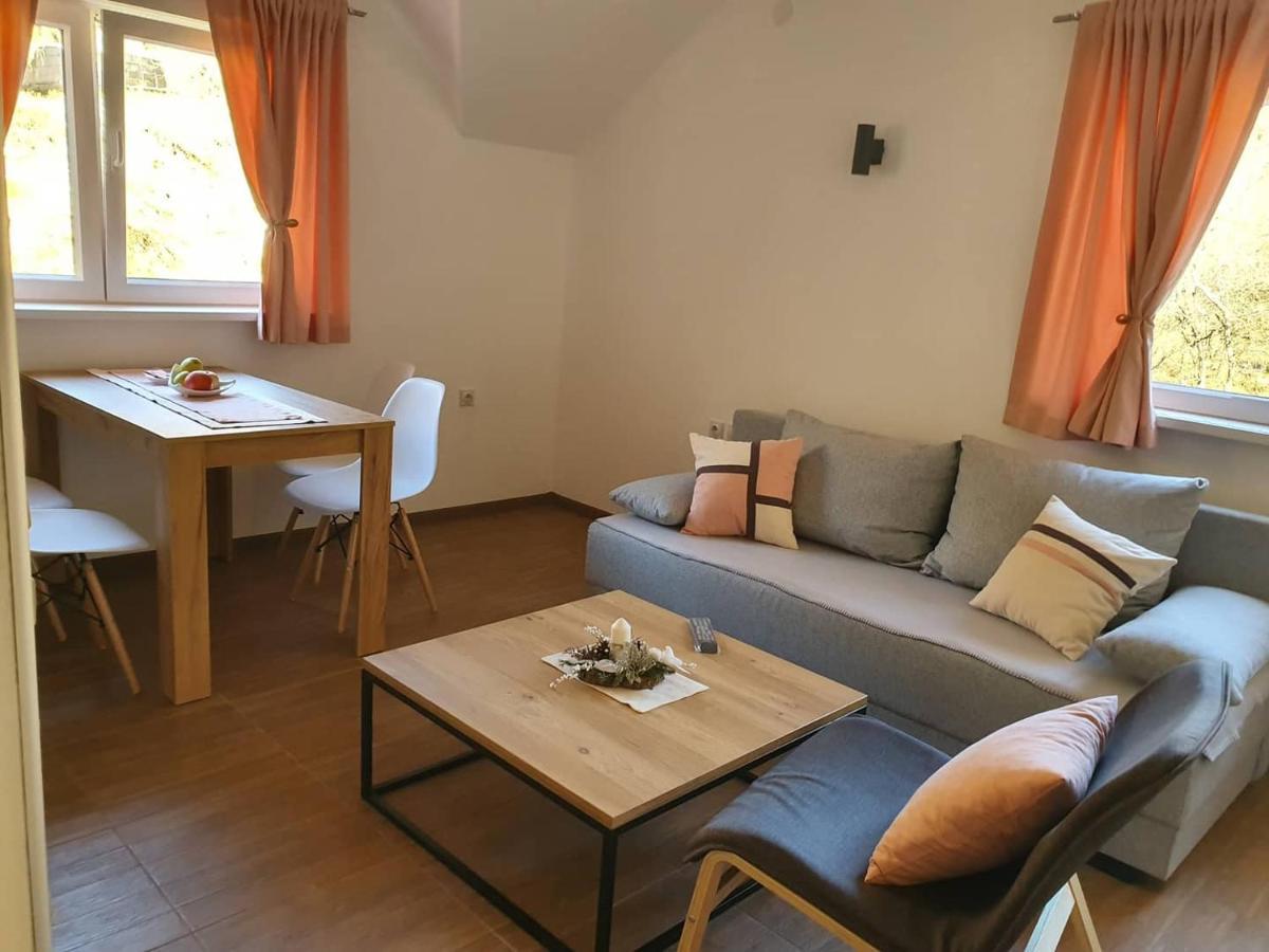 Vila Vrh Crni Vrh Екстер'єр фото