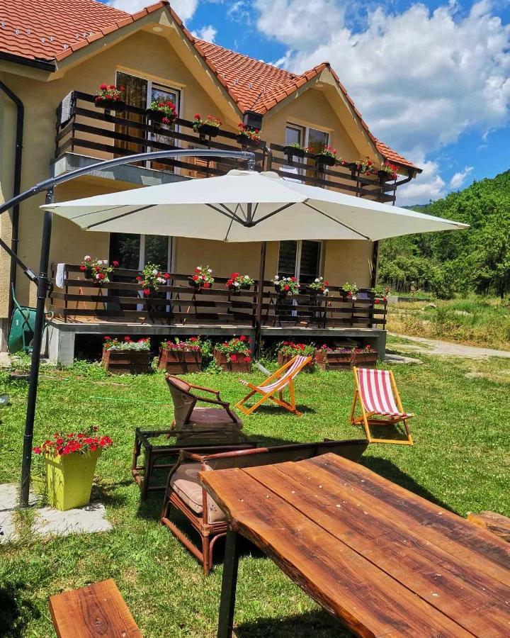 Vila Vrh Crni Vrh Екстер'єр фото