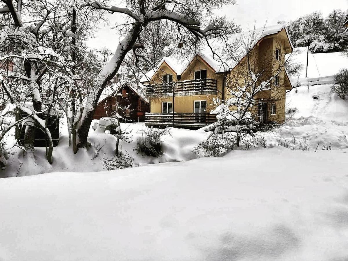 Vila Vrh Crni Vrh Екстер'єр фото
