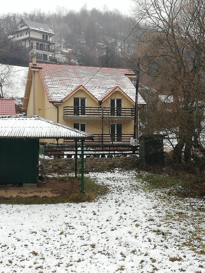 Vila Vrh Crni Vrh Екстер'єр фото